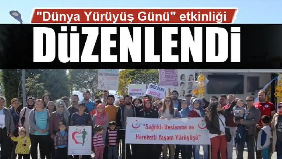 Van'da 'Dünya Yürüyüş Günü' etkinliği 