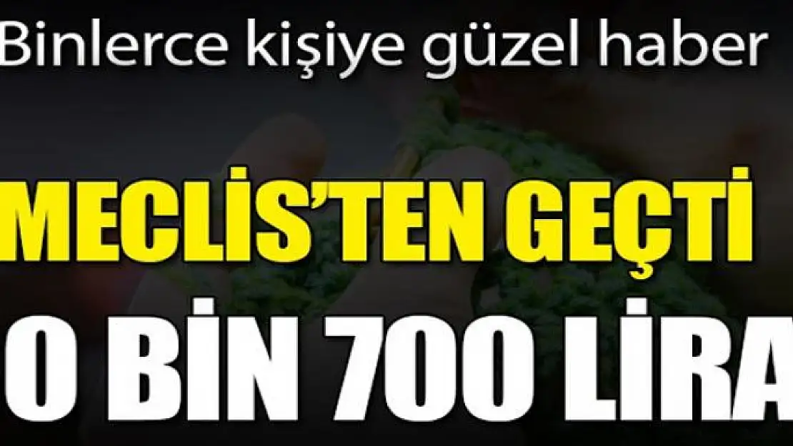 300 bin kadına vergisiz kazanç