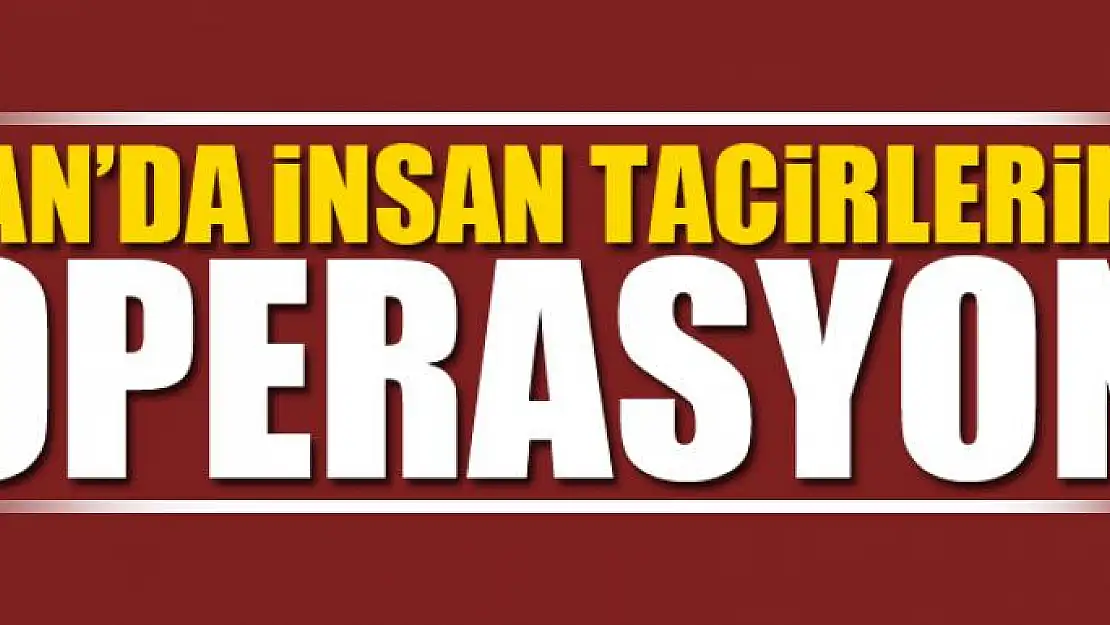 Van'da insan tacirlerine operasyon