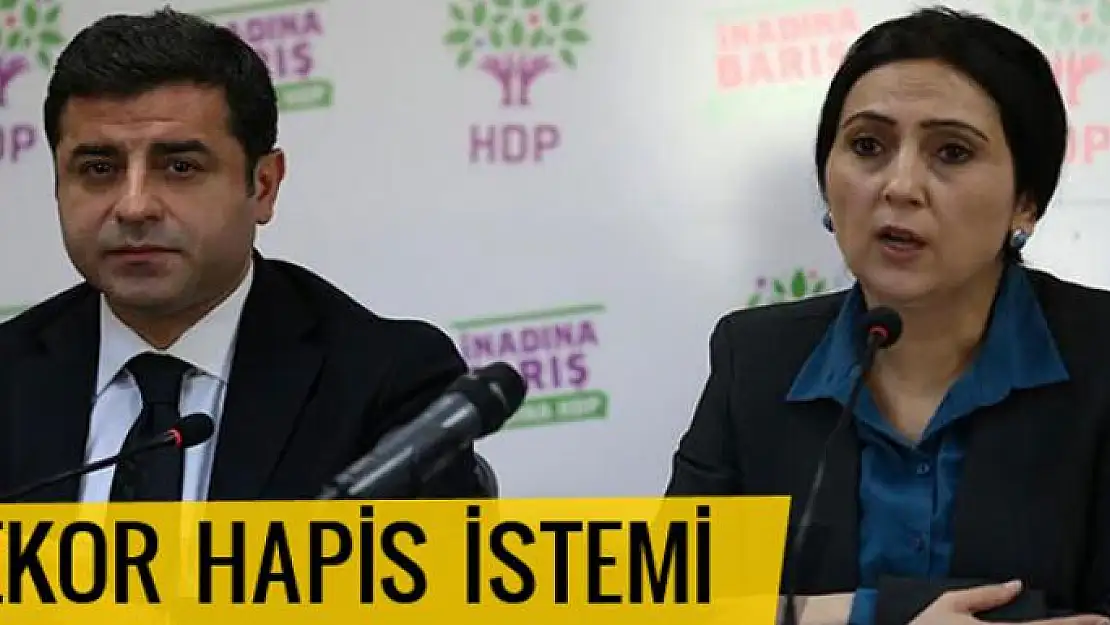 İşte Demirtaş ve Yüksekdağ'a istenen ceza