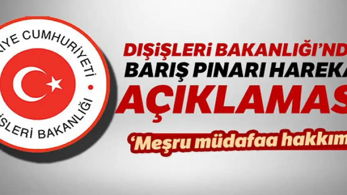 Dışişleri Bakanlığı: 'Harekat meşru müdafaa hakkımız'