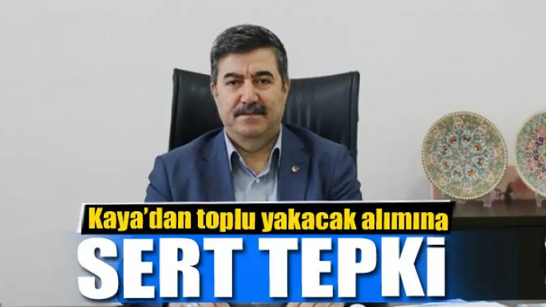 Kaya'dan toplu yakacak alımına tepki