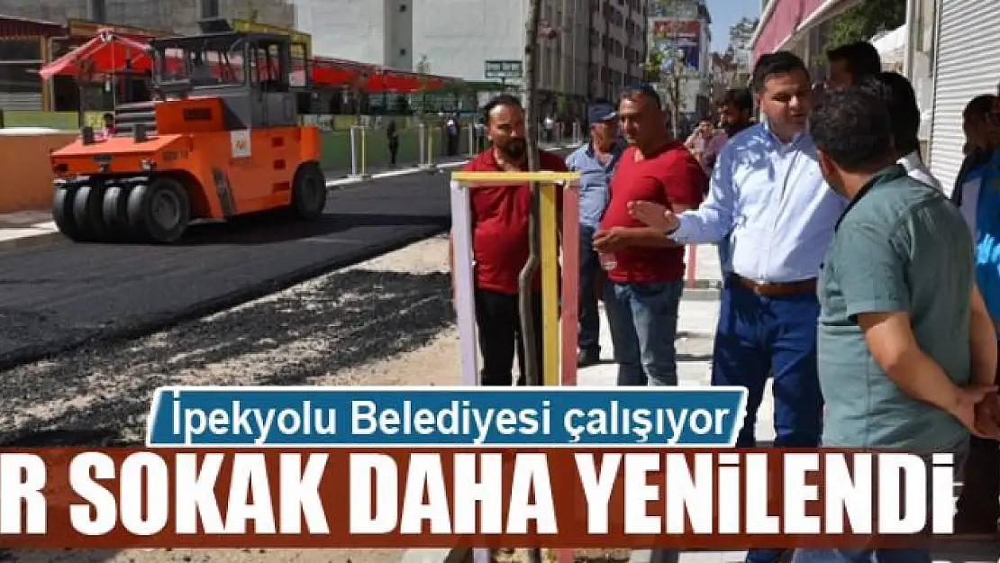 İpekyolu'nda bir sokak daha yenilendi