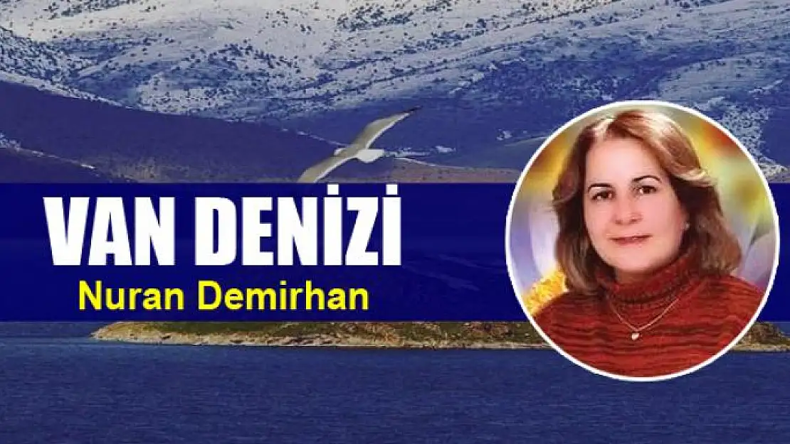 VAN DENİZİ