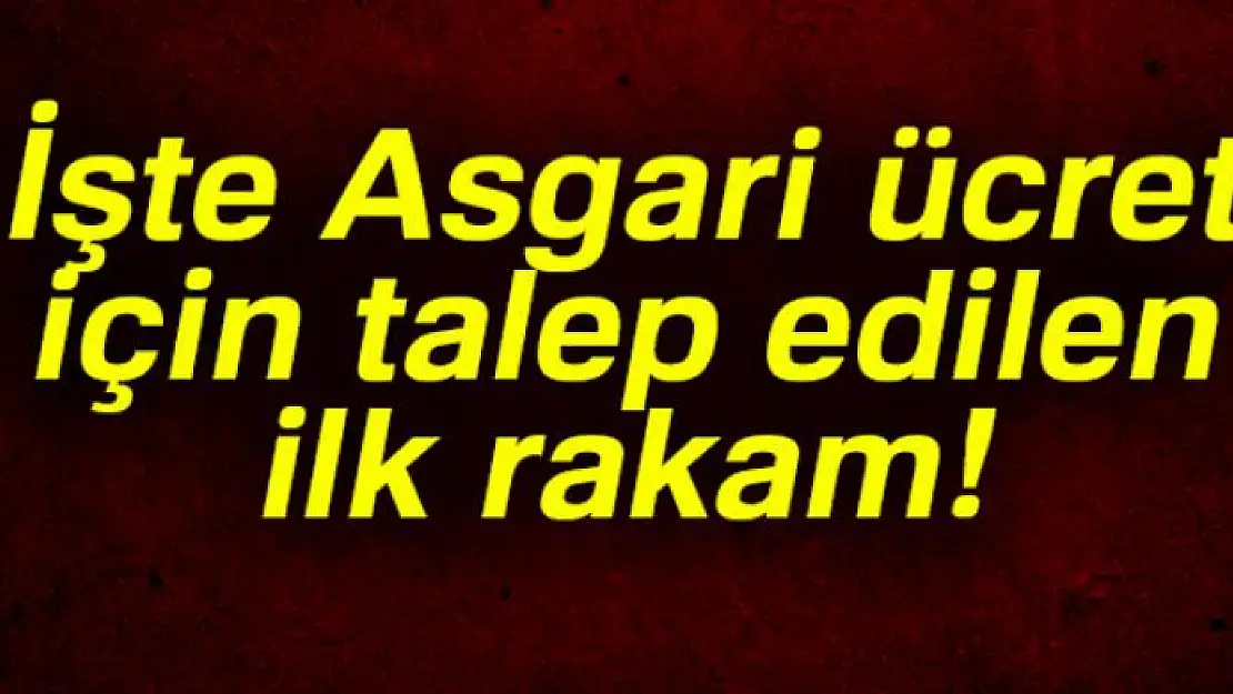 Türk İş asgari ücret talebini açıkladı!