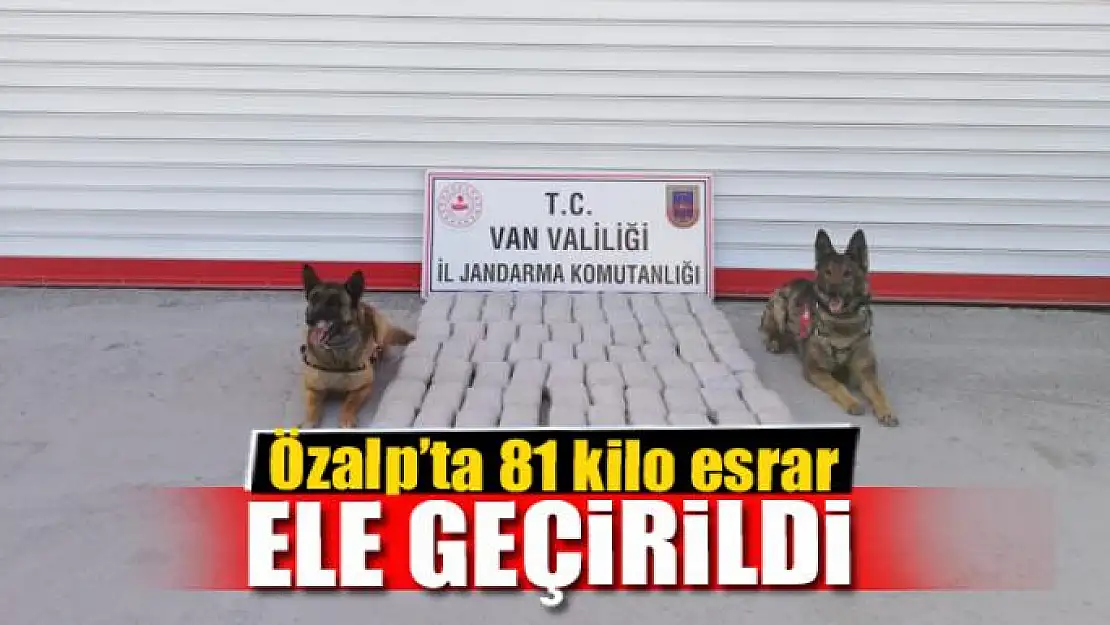 Özalp'ta 81 kilo esrar ele geçirildi