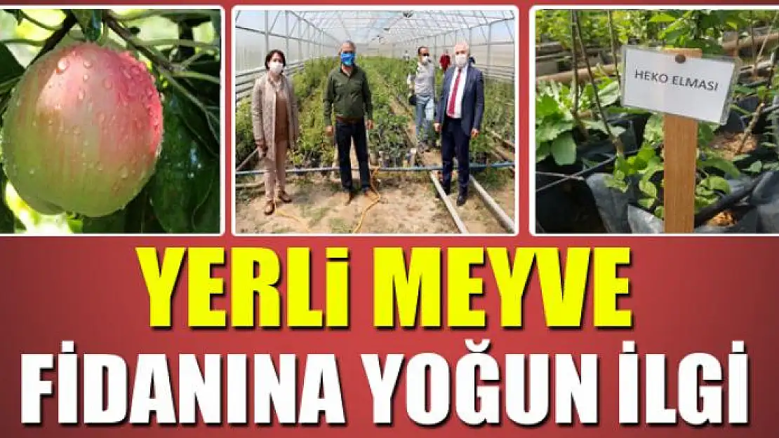 YERLİ MEYVE FİDANINA YOĞUN İLGİ