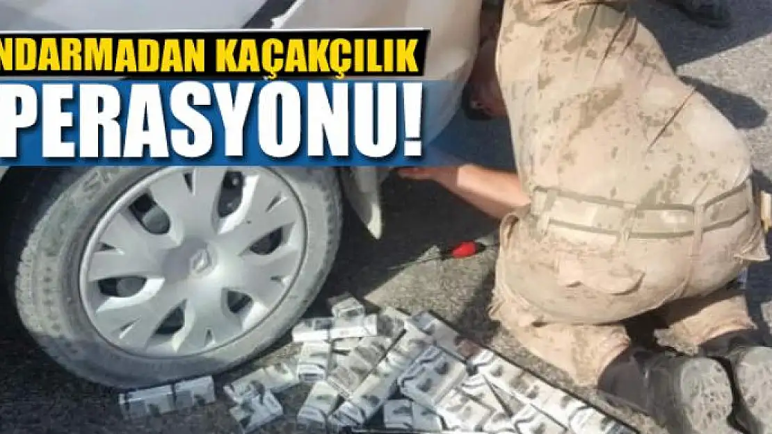 Jandarmadan kaçakçılık operasyonları