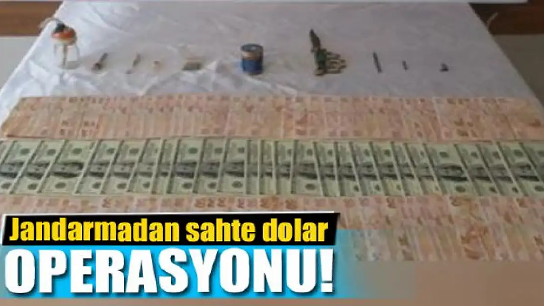 Jandarmadan sahte dolar operasyonu