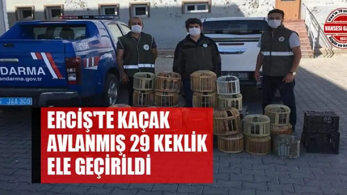 Erciş'te kaçak avlanmış 29 keklik ele geçirildi