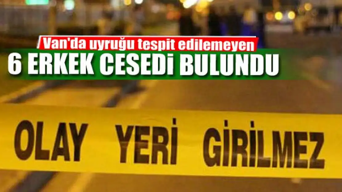 Van'da uyruğu tespit edilemeyen 6 erkek cesedi bulundu