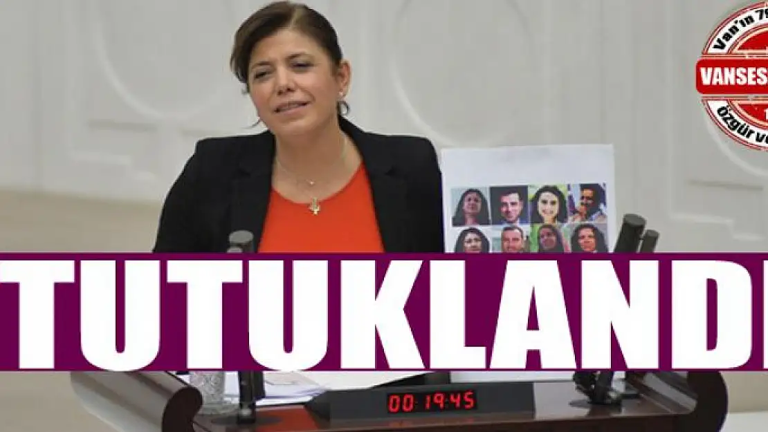 HDP'li milletvekili Meral Danış Beştaş tutuklandı