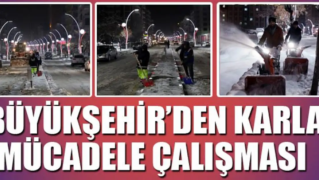 Van'da karla mücadele çalışması 