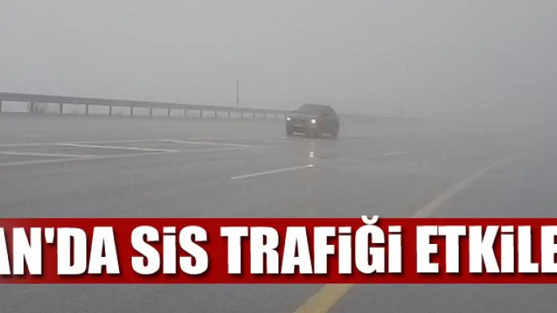 Van'da sis trafiği etkiledi