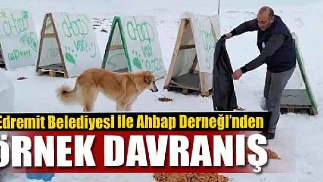 Edremit Belediyesi ile Ahbap Derneği'nden örnek davranış