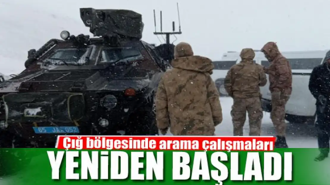 Çığ bölgesinde arama çalışmaları yeniden başladı