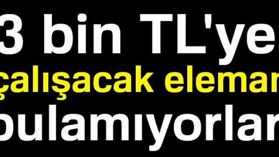 3 bin TL'ye çalışacak eleman bulamıyorlar