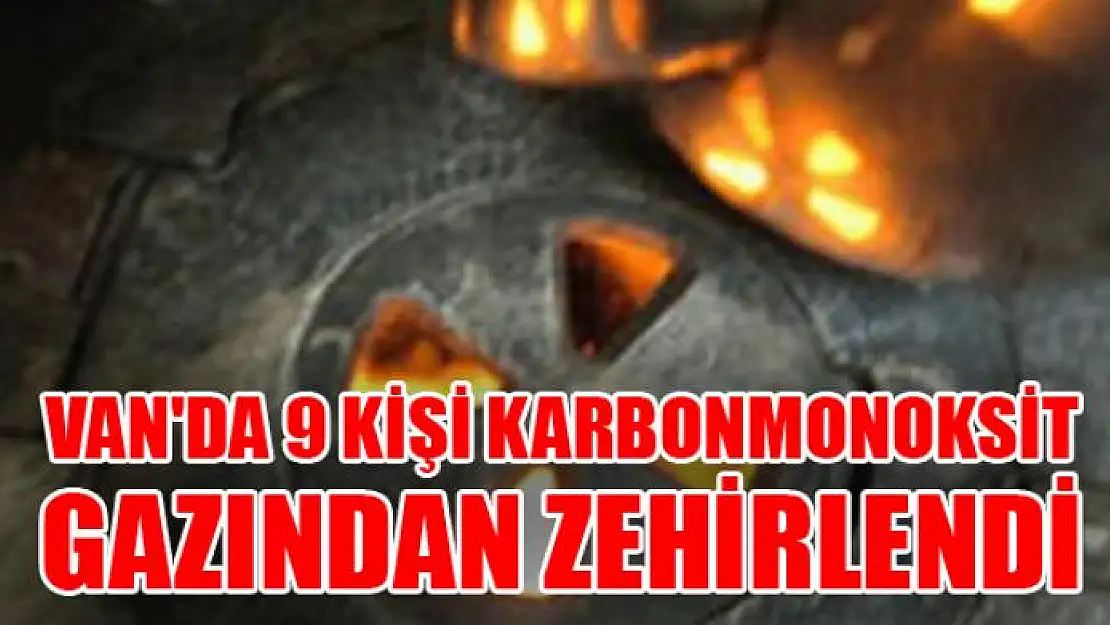 Van'da 9 Kişi karbonmonoksit gazından zehirlendi