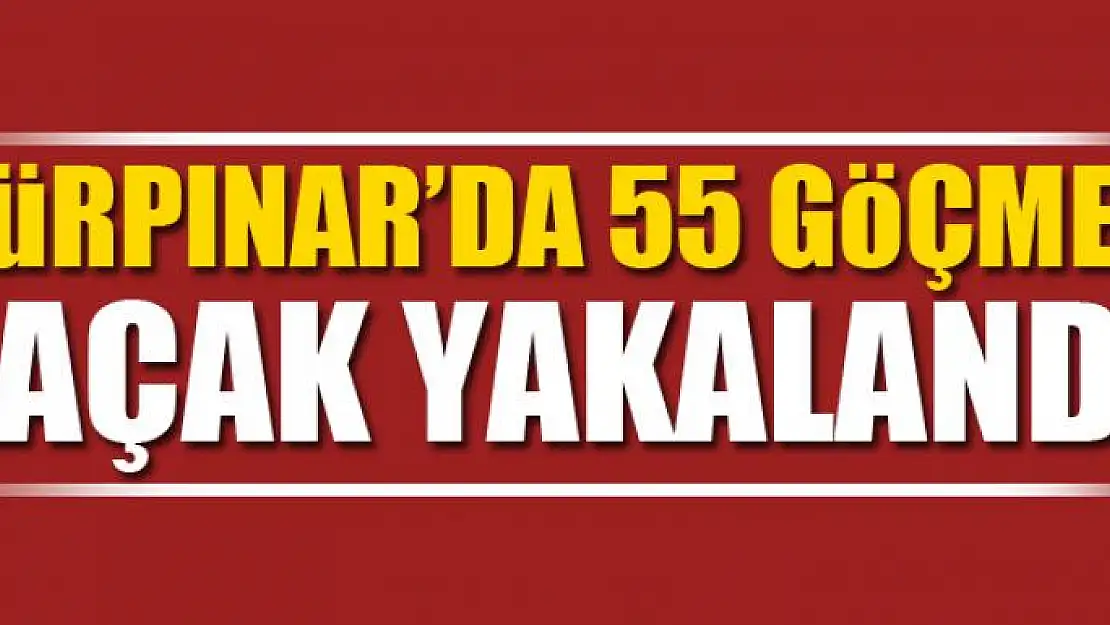 Gürpınar'da 55 göçmen kaçak yakalandı 