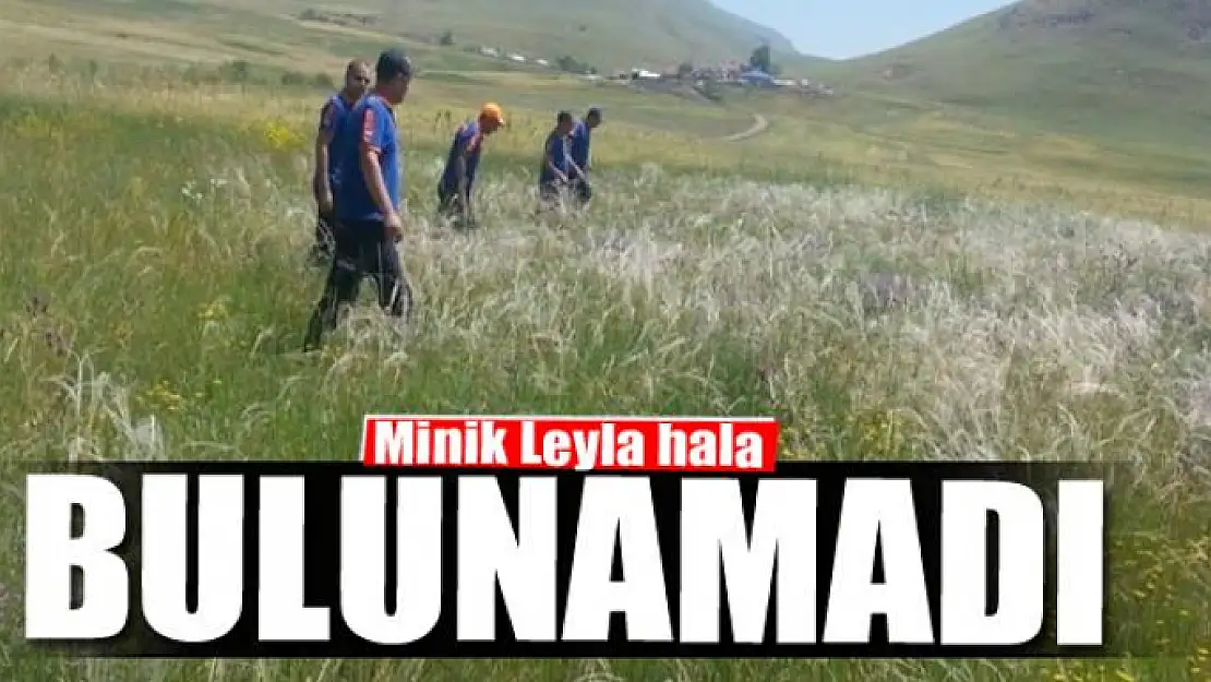 Minik Leyla hala bulunamadı