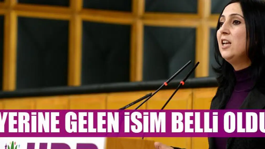 HDP'de Kemalbay 'vekaleten' eşbaşkan