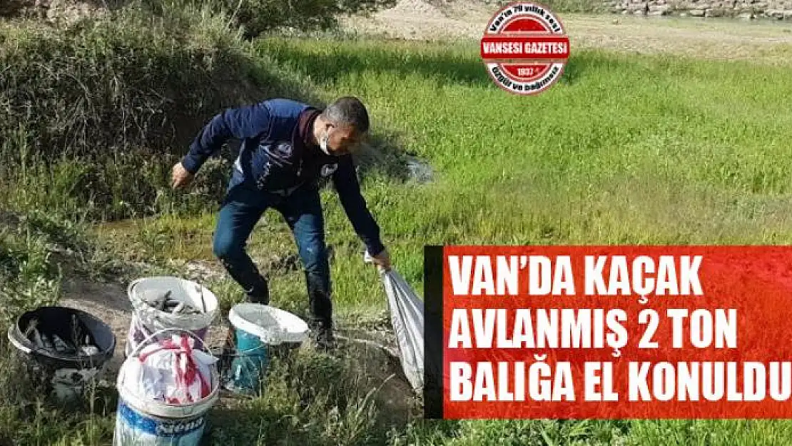 Van'da kaçak avlanmış 2 ton balığa el konuldu