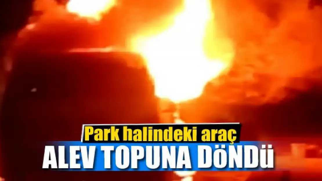 Park halindeki araç alev topuna döndü