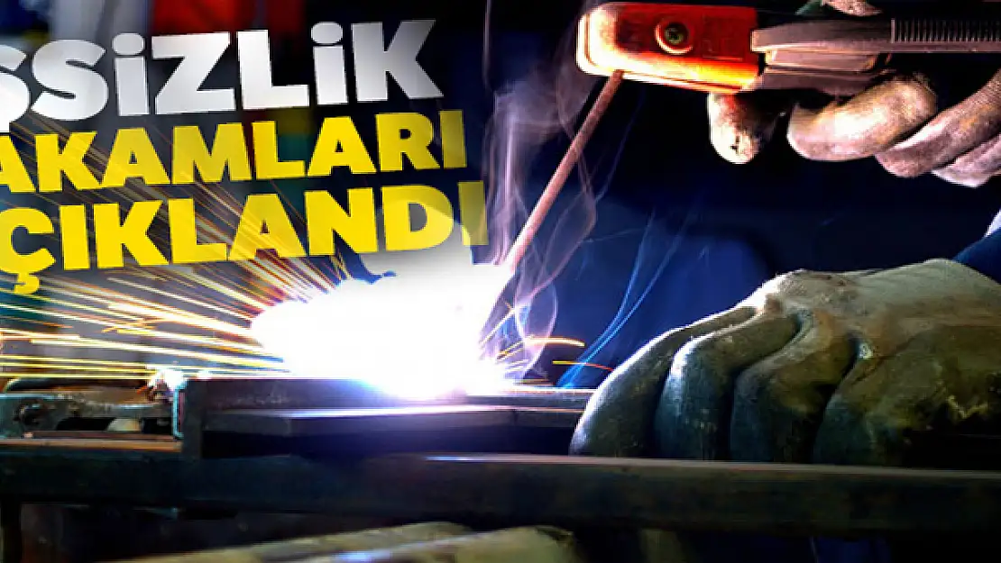 İşsizlik rakamları açıklandı