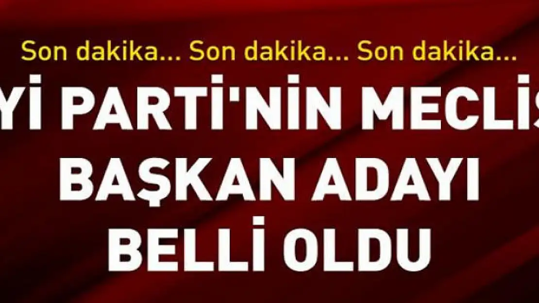 İYİ Parti'nin adayı da belli oldu