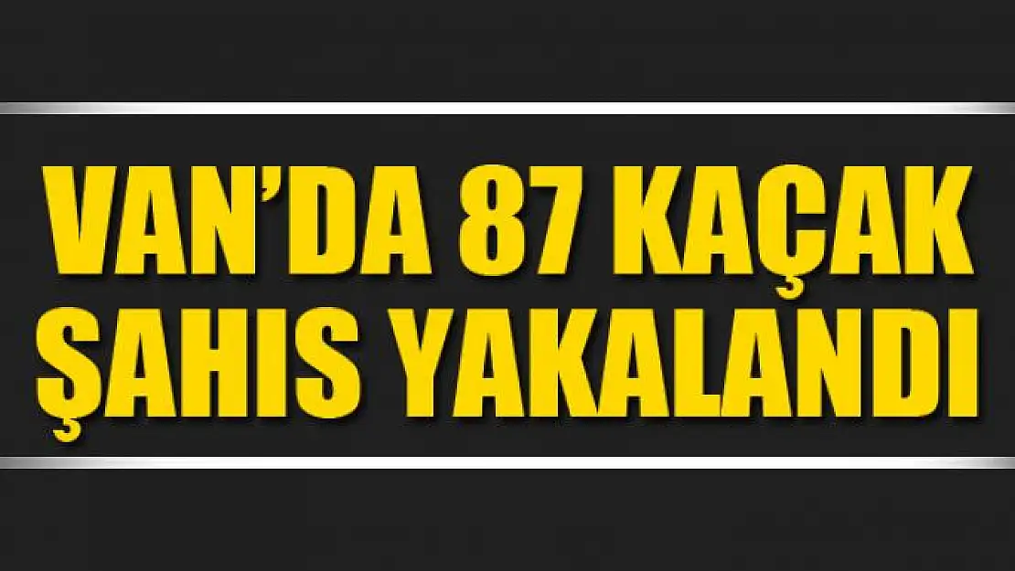 Van'da 87 kaçak şahıs yakalandı