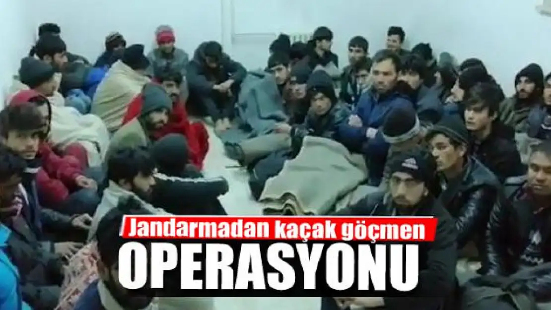 Jandarmadan kaçak göçmen operasyonu