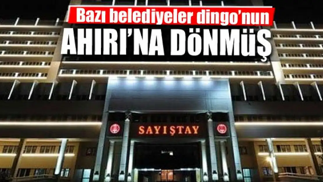 Bazı belediyeler Dingo'nun Ahırı'na dönmüş