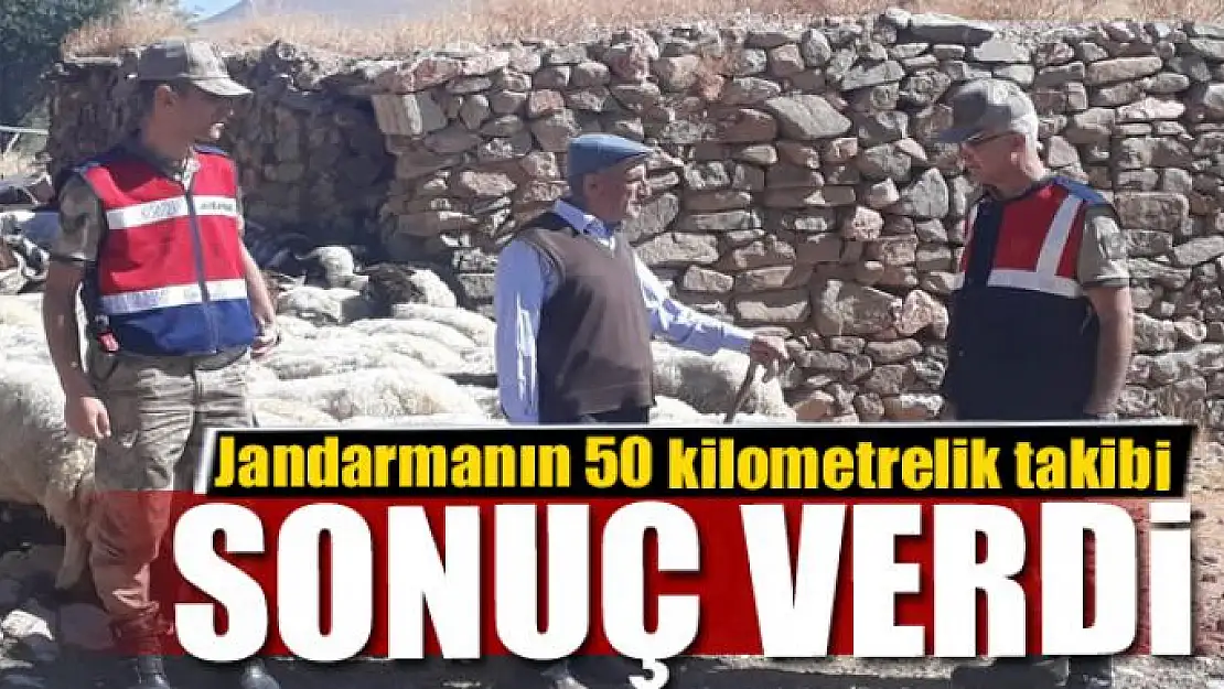 Jandarmanın 50 kilometrelik takibi sonuç verdi