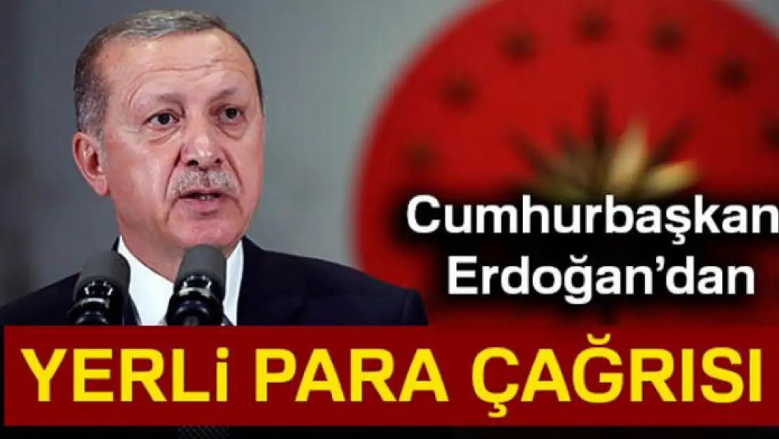 Cumhurbaşkanı Erdoğan'dan yerli para çağrısı