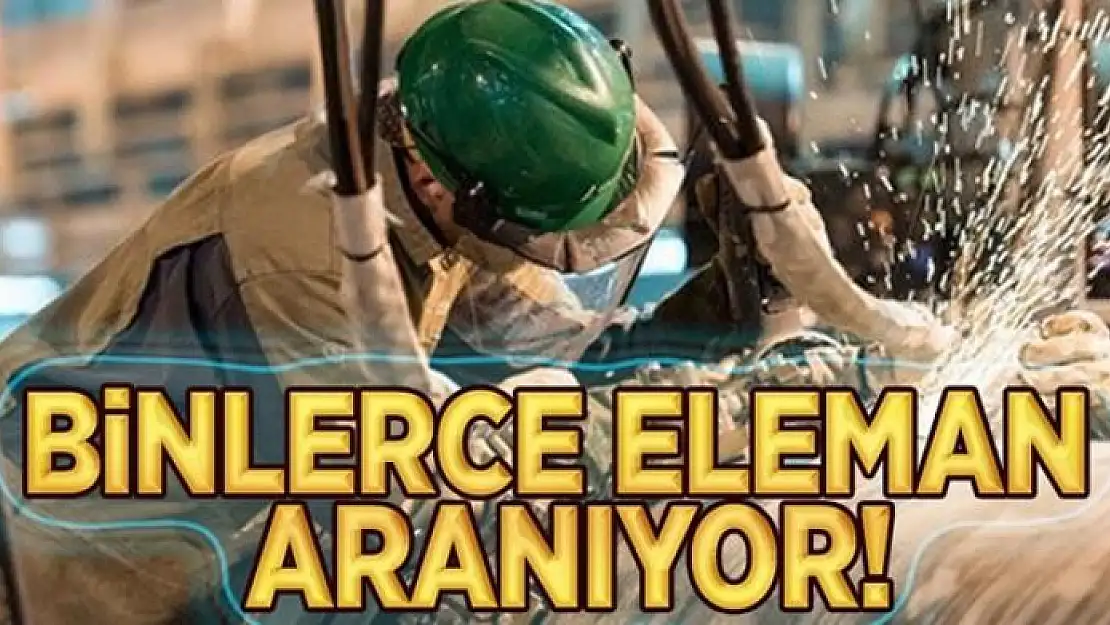 81 bin 533 eleman aranıyor 