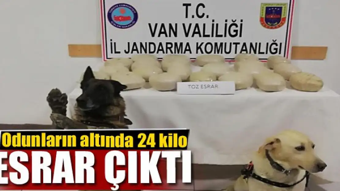 Odunların altında 24 kilo esrar çıktı 