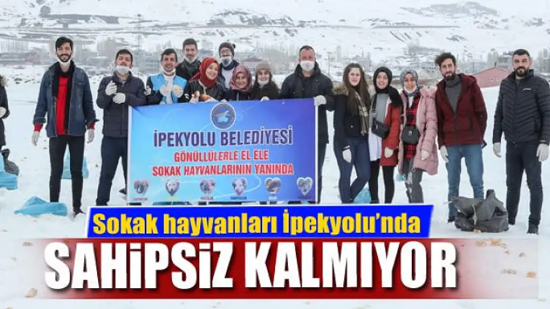 Sokak hayvanları İpekyolu'nda sahipsiz kalmıyor