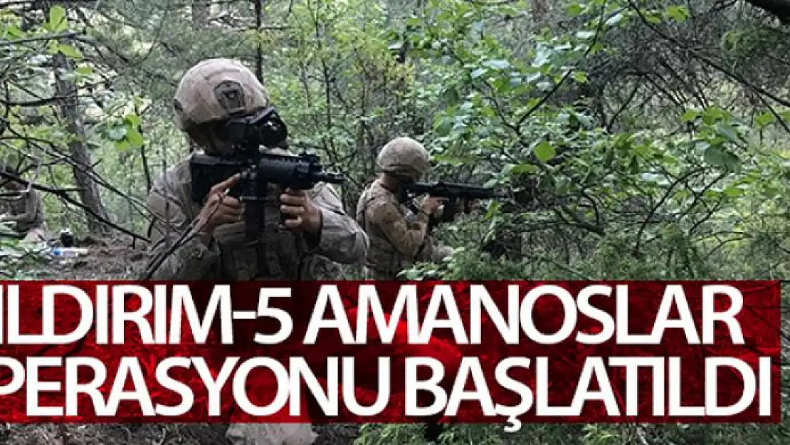 Hatay'da Yıldırım-5 Amanoslar Operasyonu başlatıldı