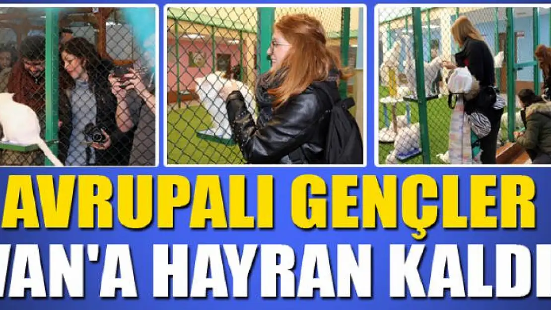 Avrupalı gençler Van'a hayran kaldı 