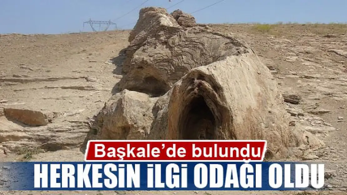 Başkale'de canavara benzeyen taş ilgi odağı oldu