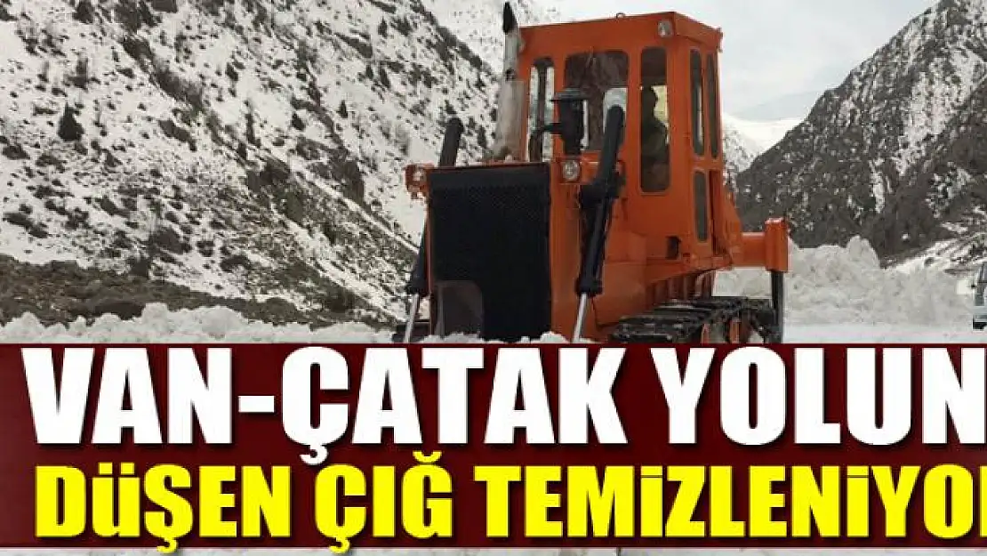 Van-Çatak yoluna düşen çığ temizleniyor 