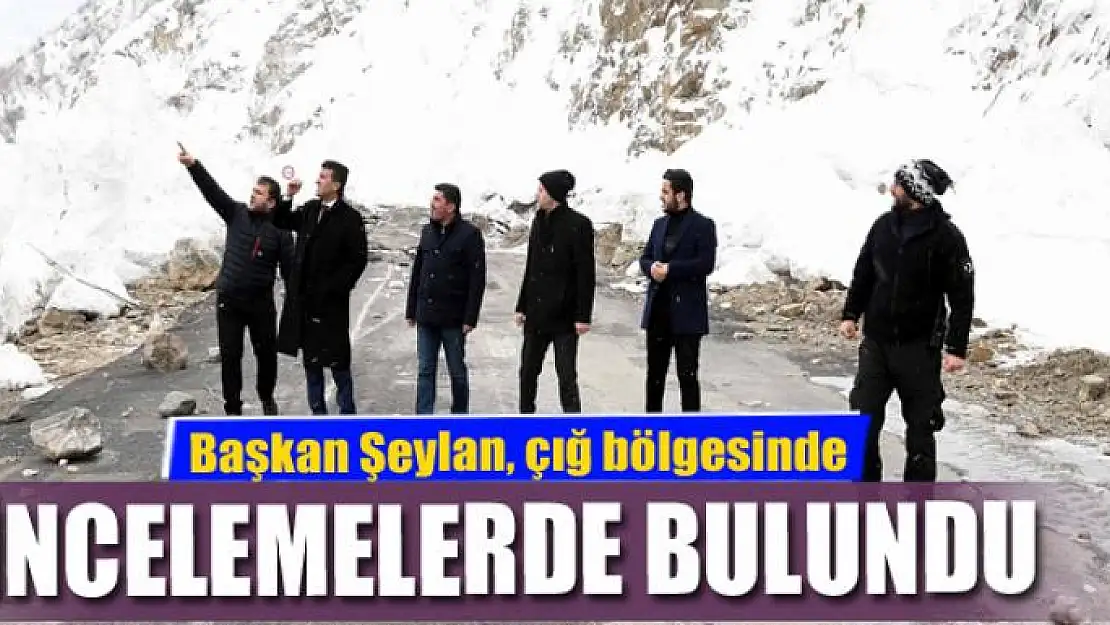 Başkan Şeylan, çığ bölgesinde incelemelerde bulundu