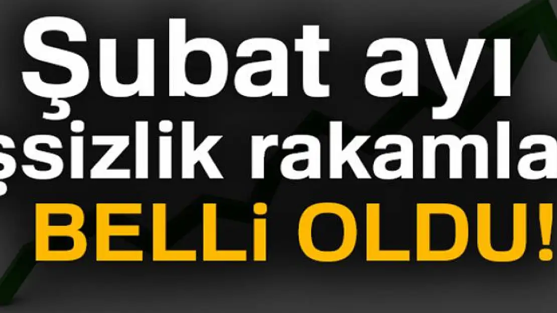 Şubat ayı iŞubat ayı işsizlik rakamları belli oldu!şsizlik rakamları belli oldu!