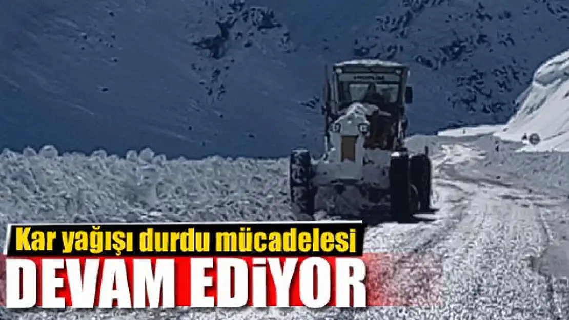 Van'da kar yağışı durdu mücadelesi devam ediyor