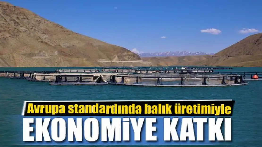 Avrupa standardında balık üretimiyle ekonomiye katkı