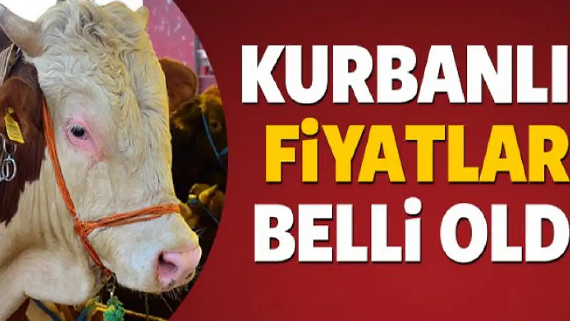 Kurbanlıkların fiyatı belli oldu