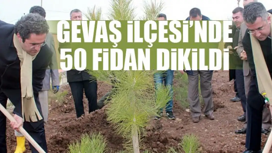 Gevaş'ta 250 fidan dikildi