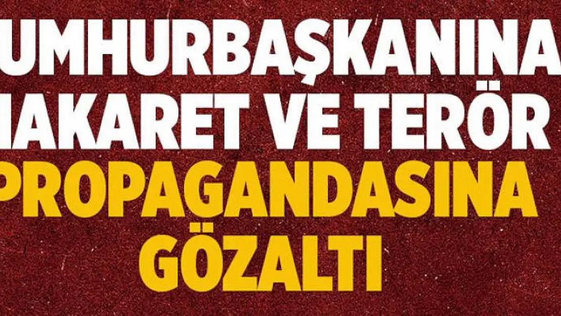 Cumhurbaşkanına hakaret ve terör propagandasına gözaltı