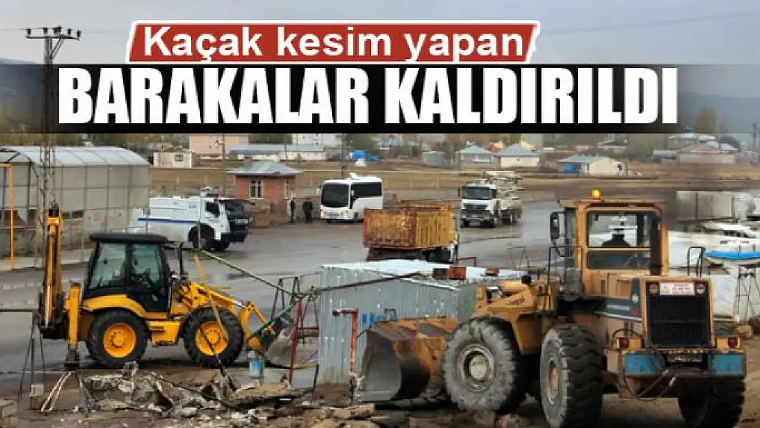 Kaçak kesim yapan barakalar kaldırıldı