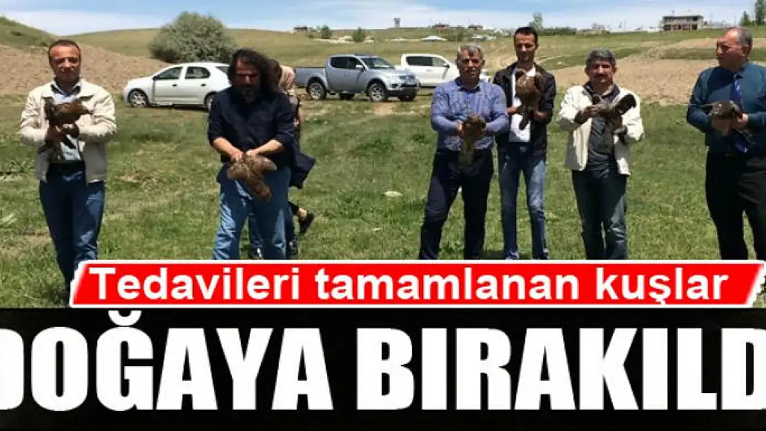 Tedavileri tamamlanan kuşlar doğaya bırakıldı 